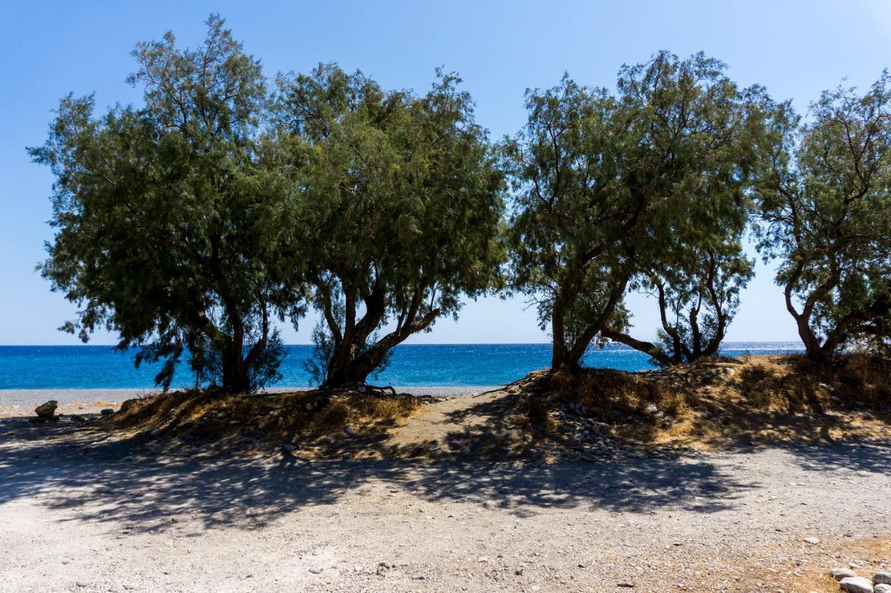 Akra Grammeno Beachfront Villas Palaiochora Exterior photo